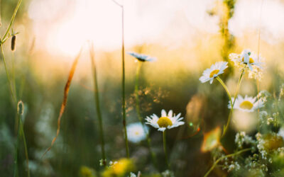 Neuigkeiten von Ihrem Hausarzt